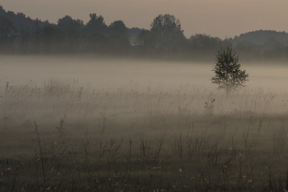 Photograph by Кожевников Сергей