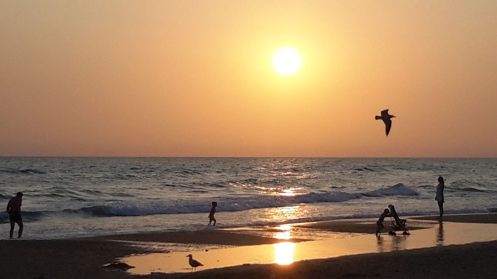 Море и солнце