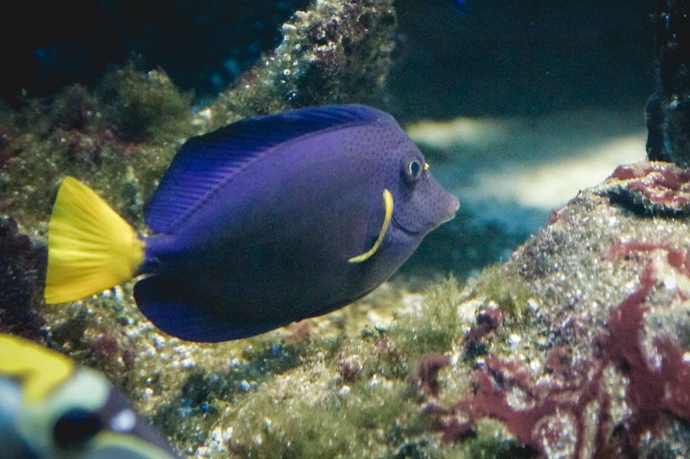 Photograph by Галина Полищук