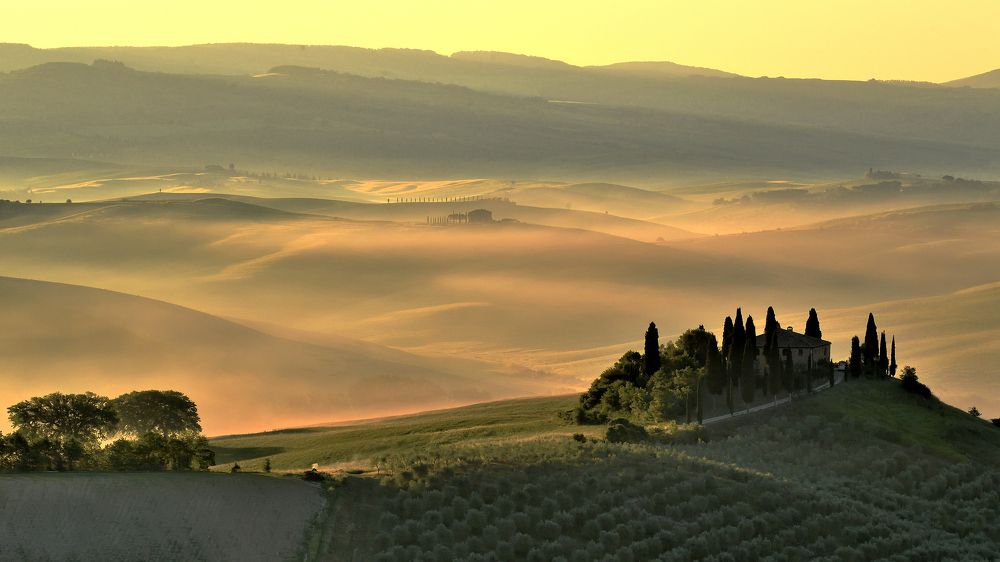 Good morning Belvedere