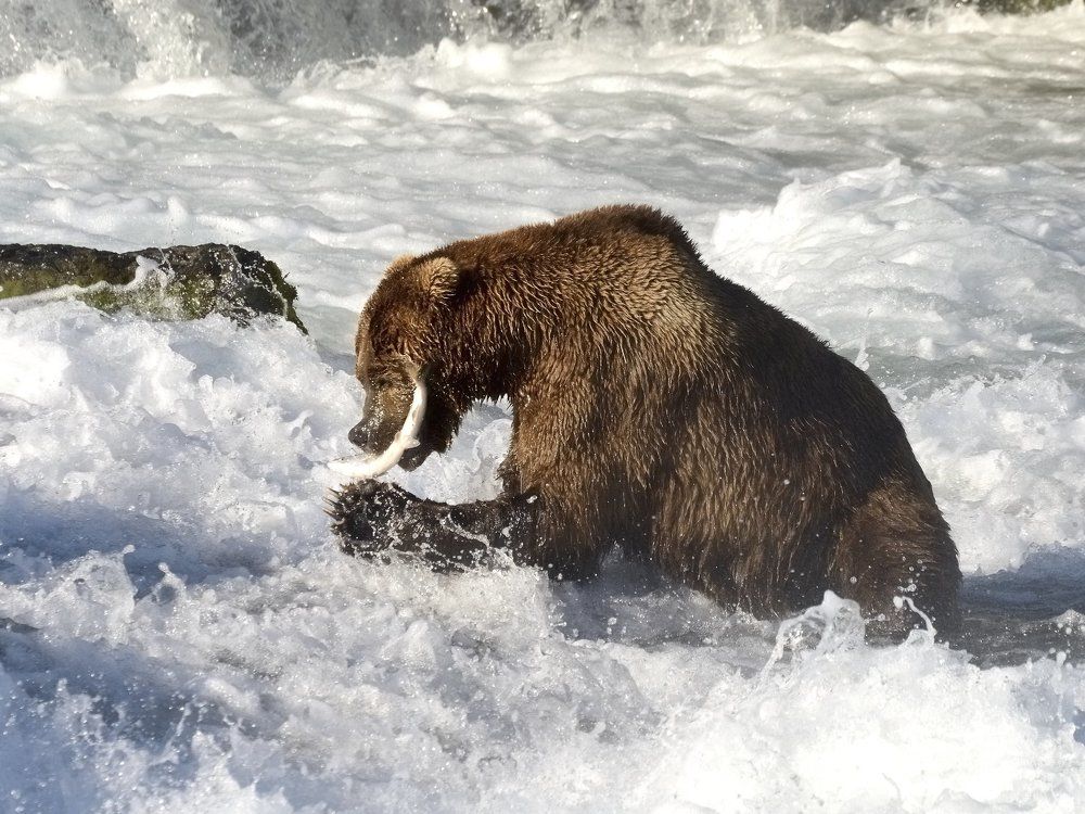 Завтрак у водопада.