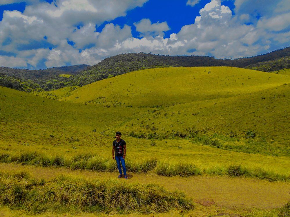 Man and landscape
