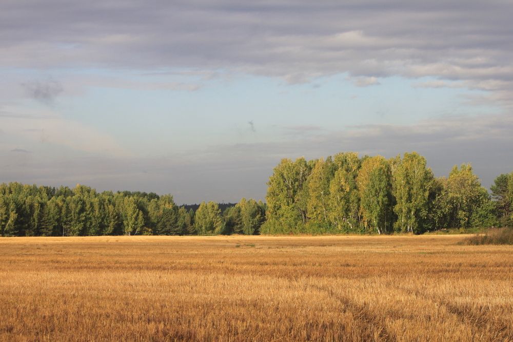 Осенний пейзаж