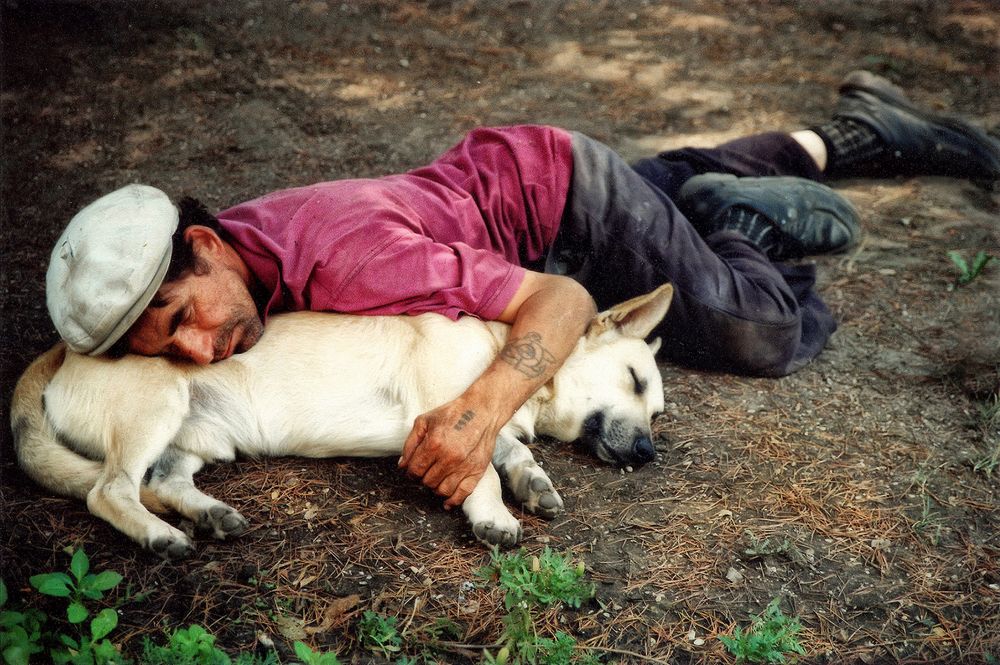 Верные друзья