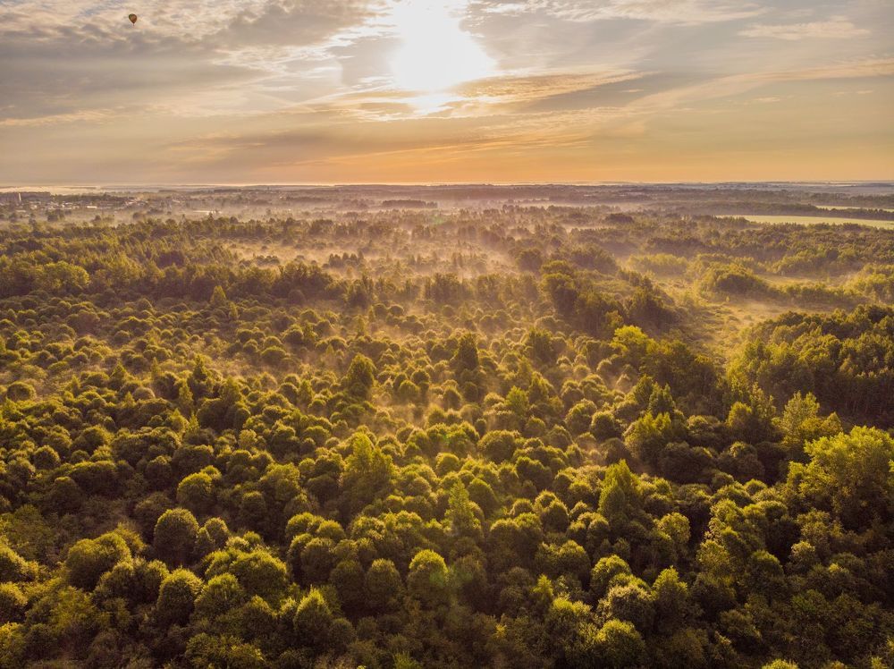 Выше солнца