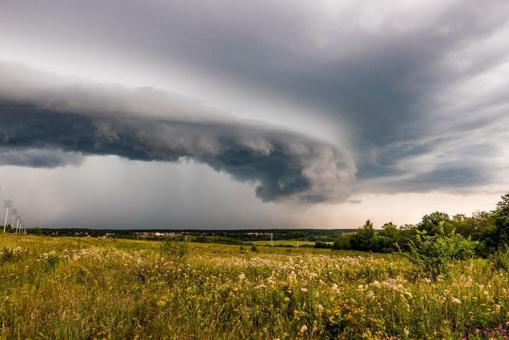 Перед бурей