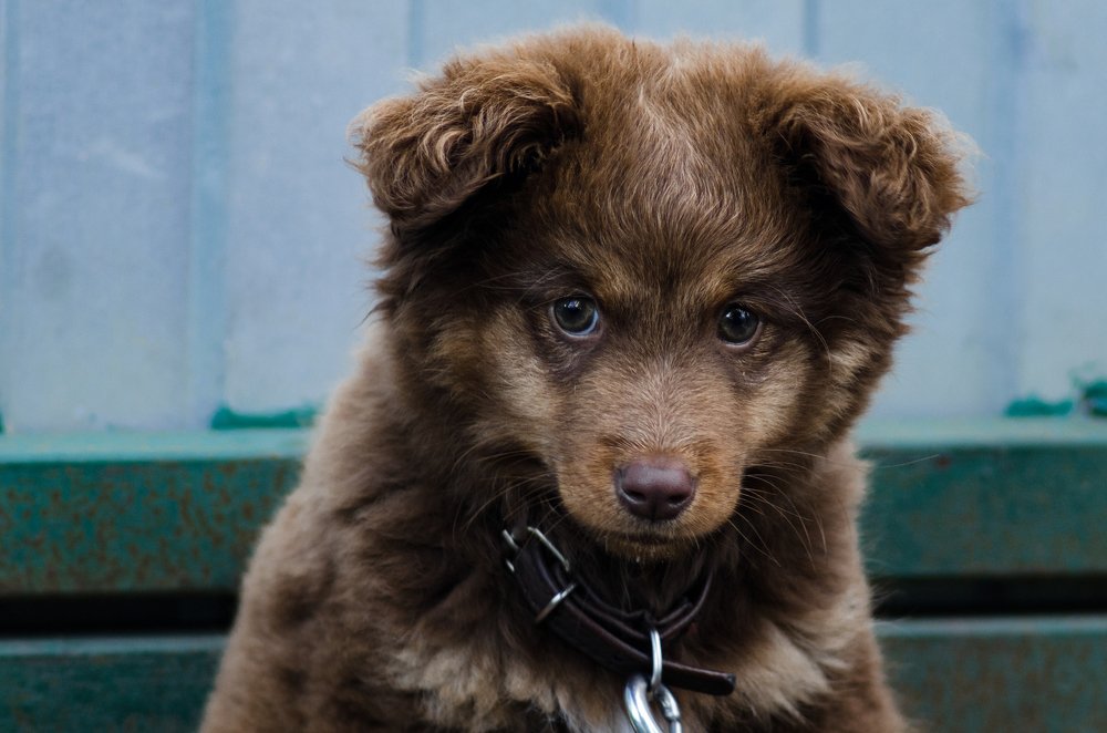 Photograph by Владимир Янчук