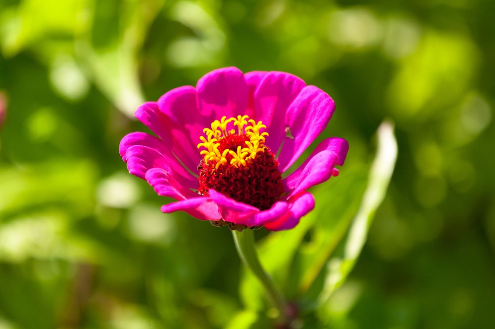 Фотография автора Николай Куликов