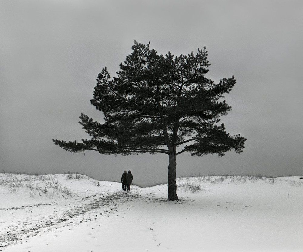 По первому снегу