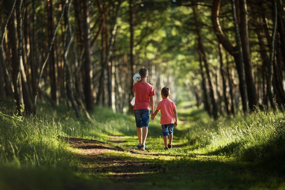 Лесная прогулка
