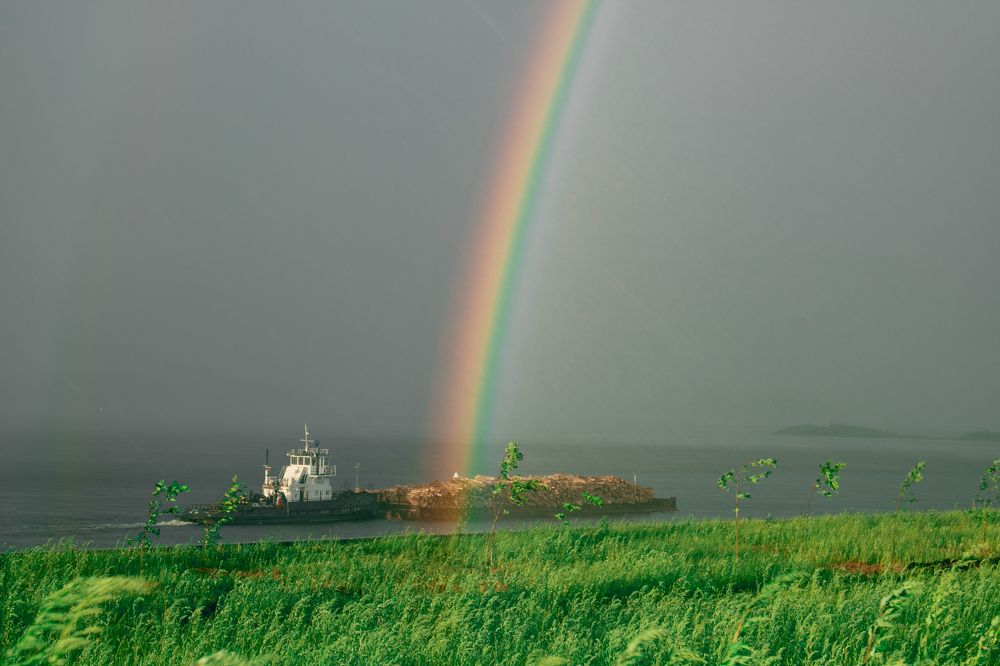 Delivery luck. Доставка удачи