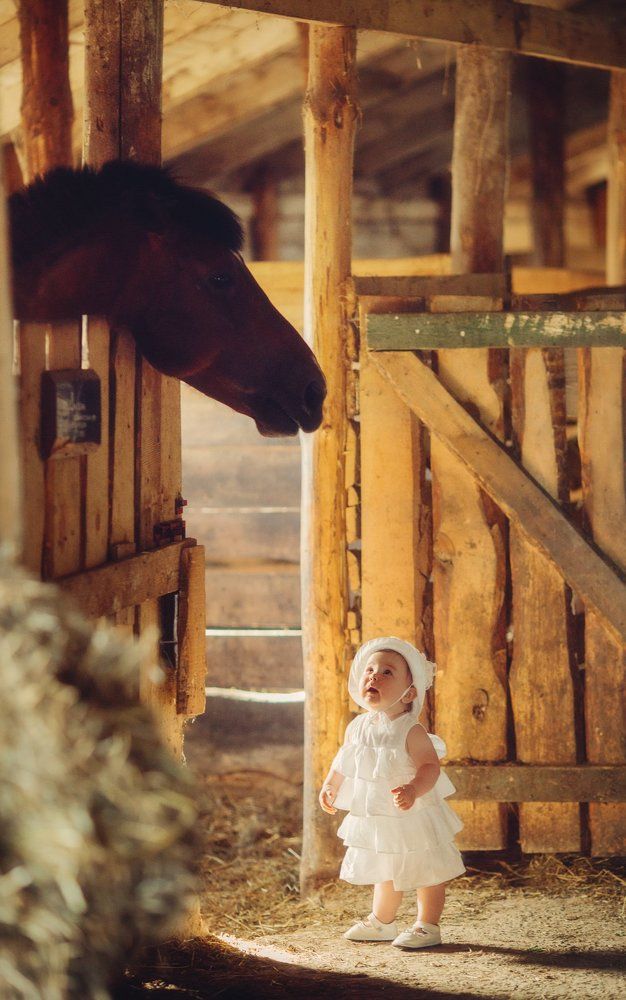 дратуте,а вы прынца не видели?