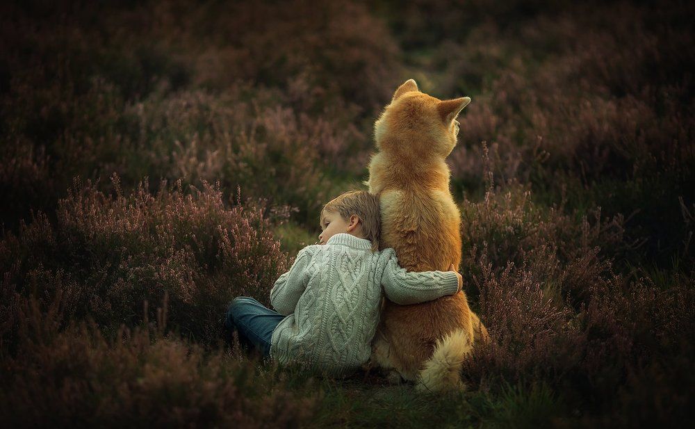 Фотография автора алексей брест
