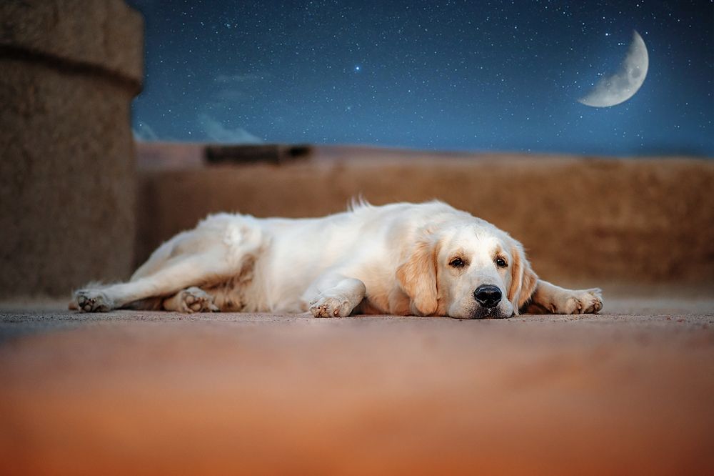 После тяжелого трудового дня