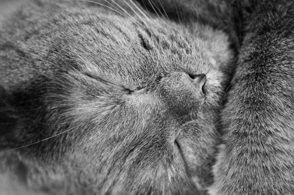 Photograph by Larisa Cekanaviсa