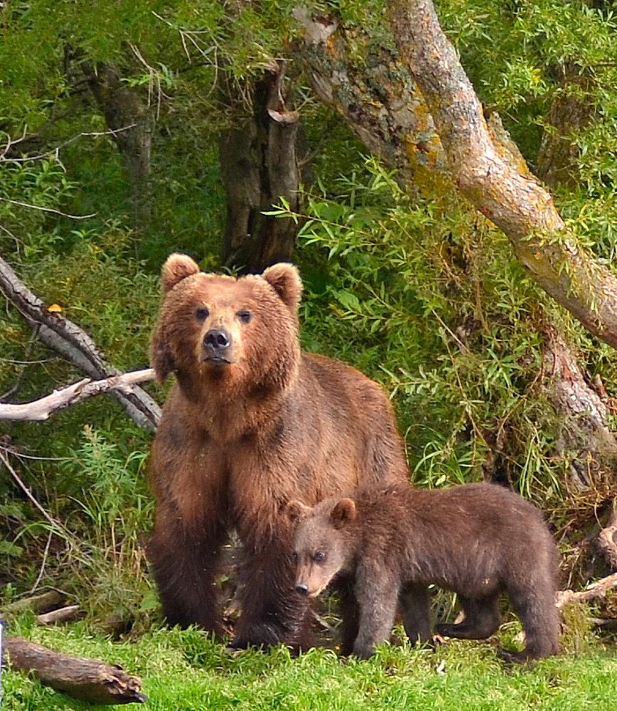 С мамой - не страшно !