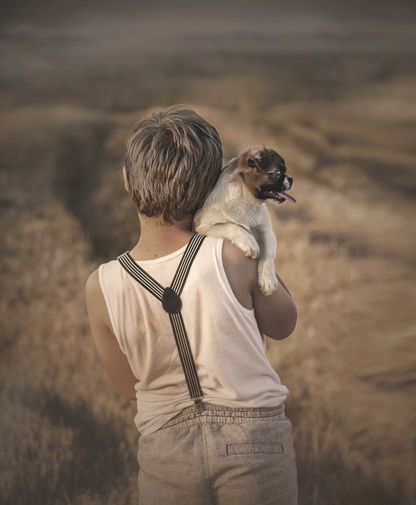 In the field of dreams...