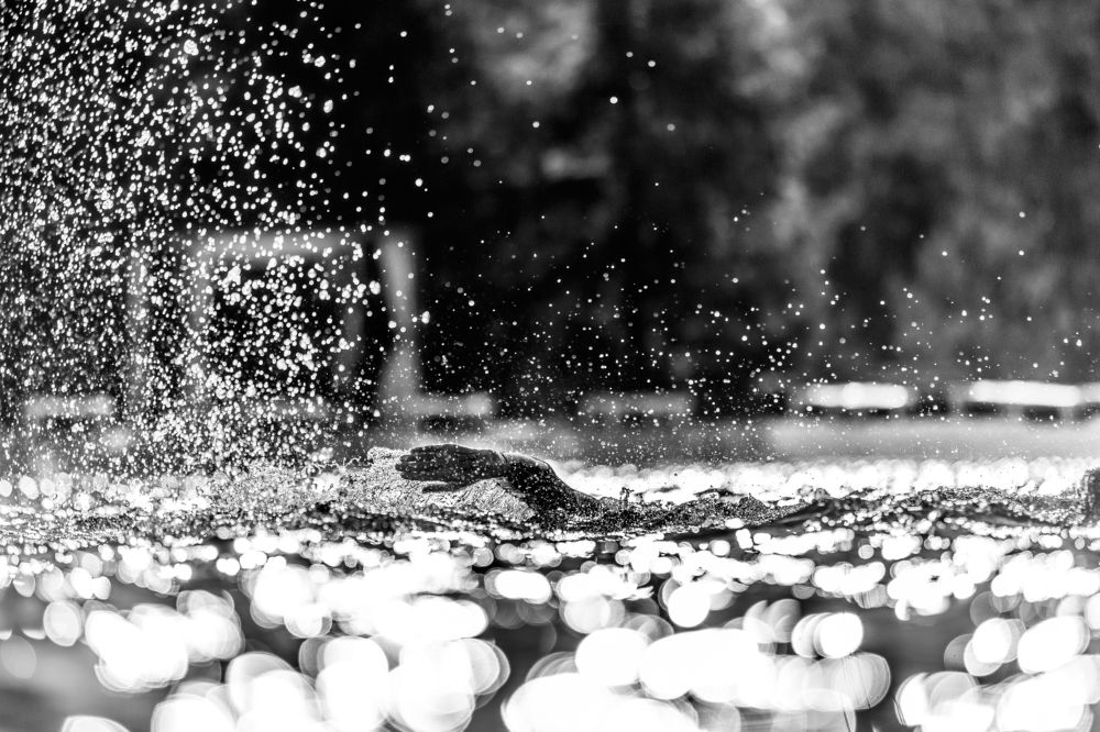 Сквозь воду