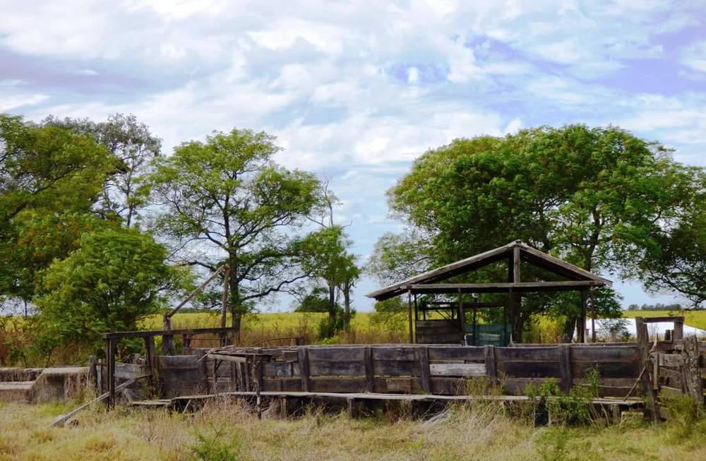 Rancho