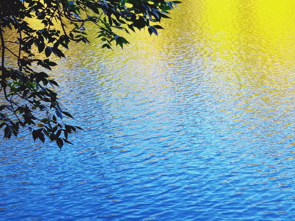 Осень в отражении