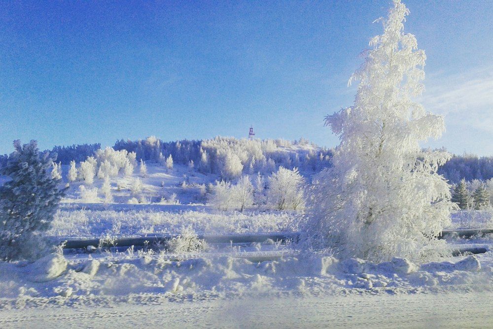 Красивая зима