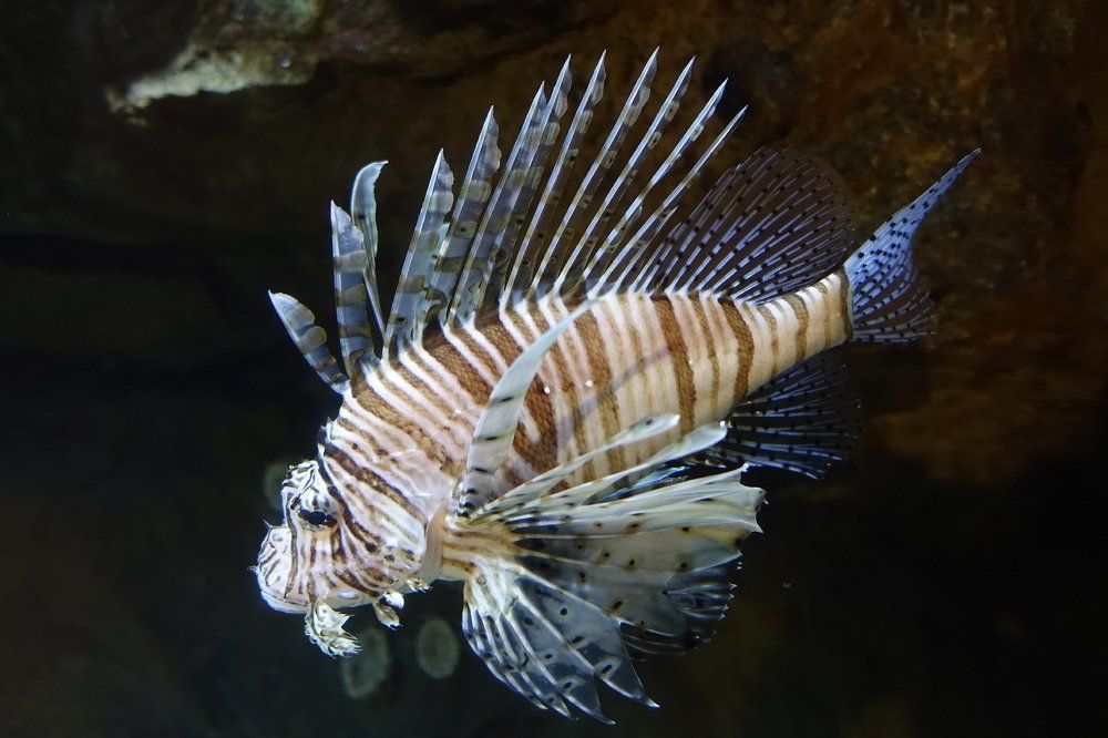 Photograph by Белоусов Александр