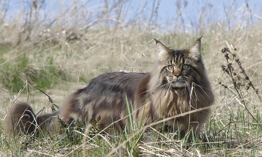 Photograph by Екатерина Годова