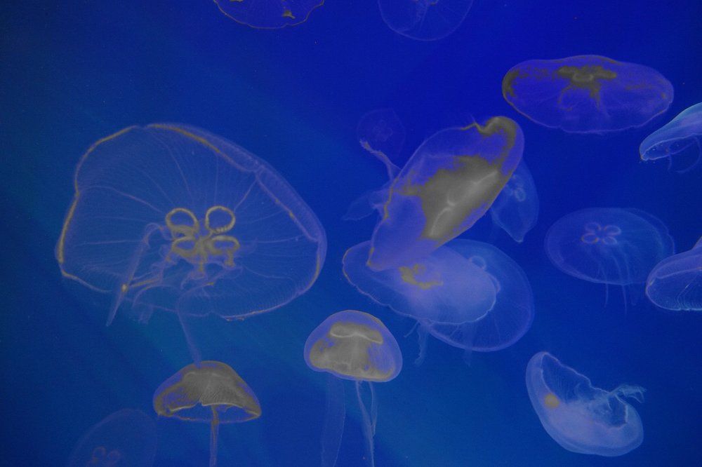 Photograph by Белоусов Александр