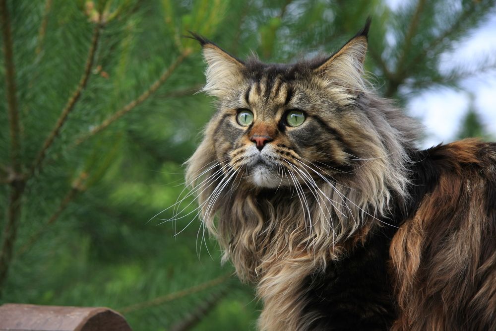 Photograph by Екатерина Годова