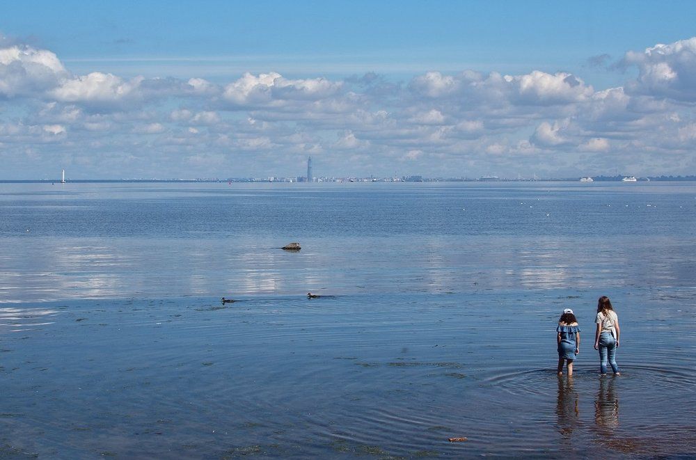 Дойдем до Питера