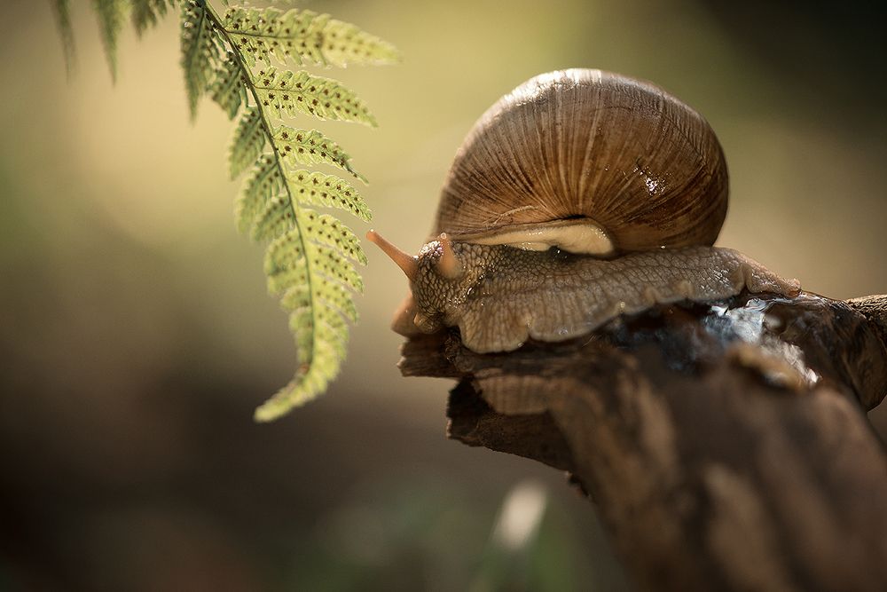 Осенние истории