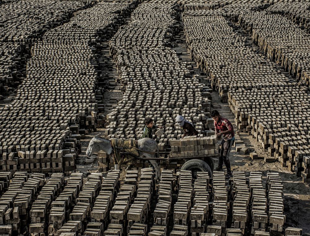 تجفيف الطابوق