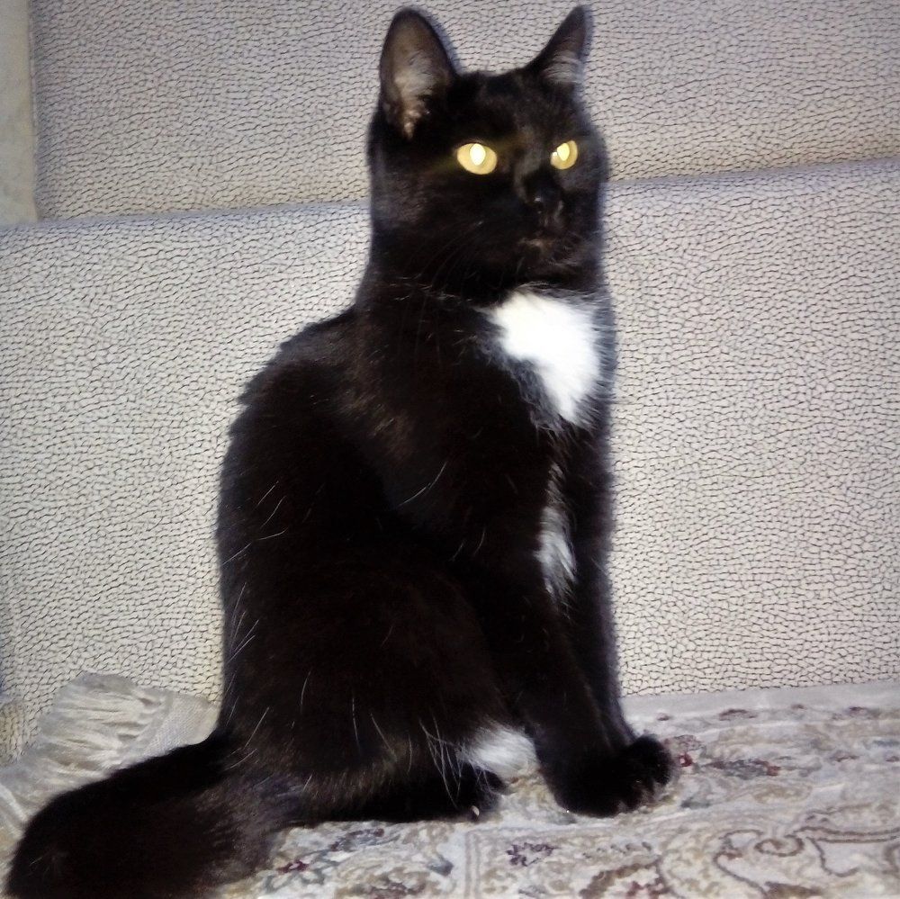 Портрет Федюни