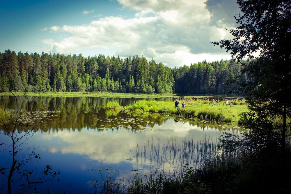 на реке Тихвинка