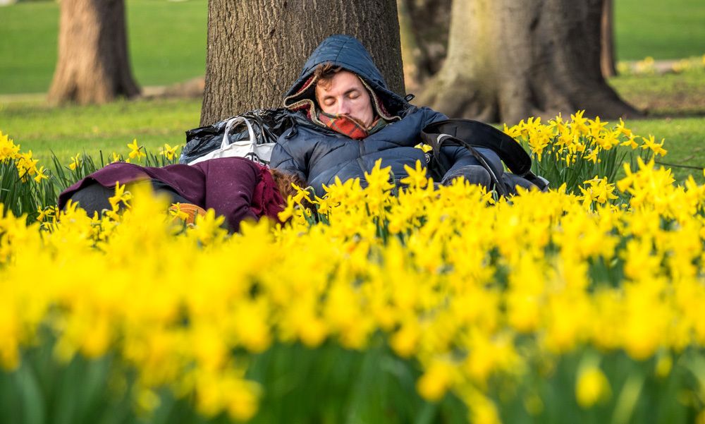 A Power Nap Under The Tree