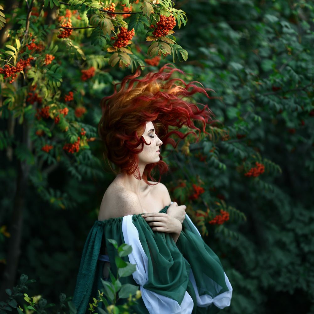 Рыжая лиса / Red fox