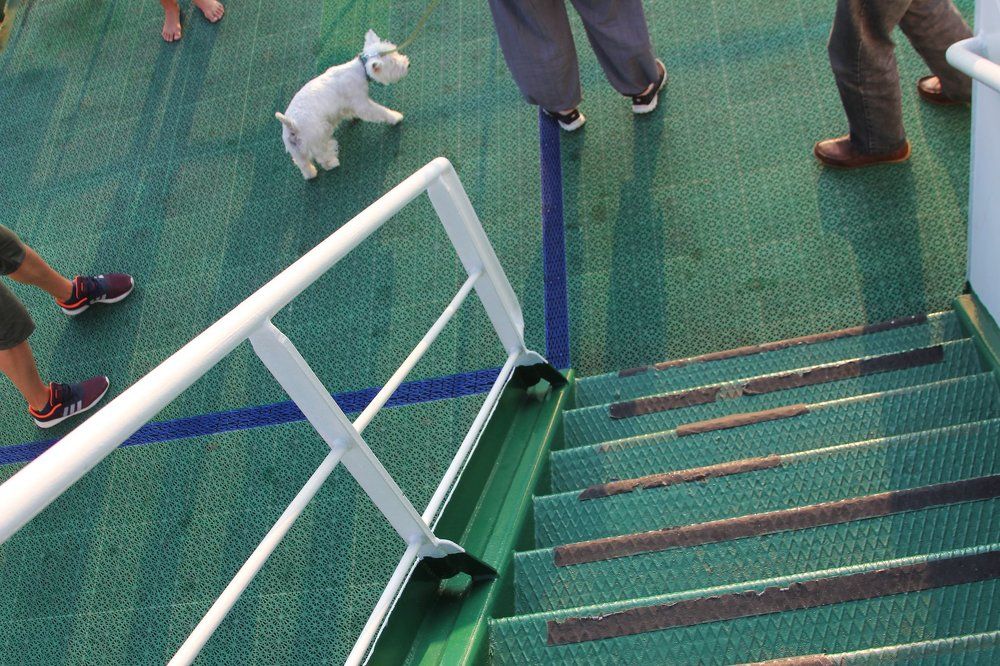 The Adventures of Tintin