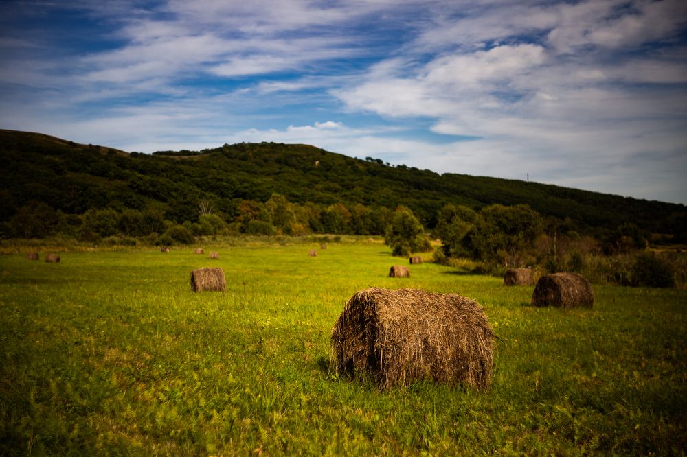 Photograph by Дмитрий Шовтюк
