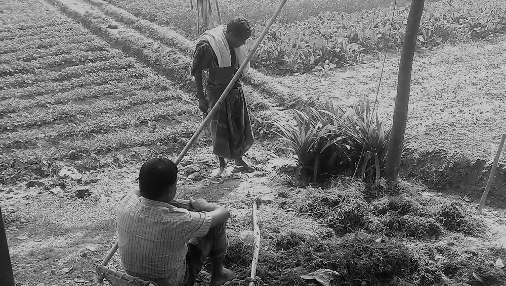 Photograph by Md Abu Sayeed Mondal