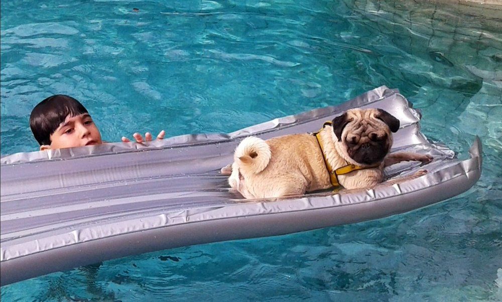 The boy with the dog in the pool.