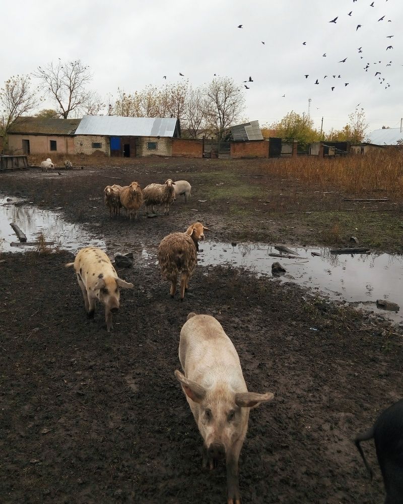 зима близко