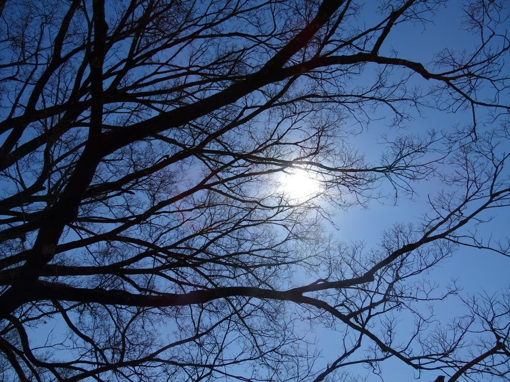 Photograph by Carolina G Silva Mandela Santos