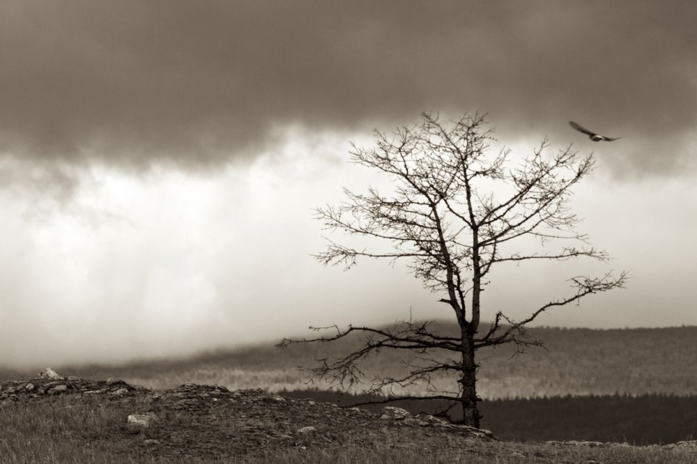 Photograph by Алёна Гильмуллина