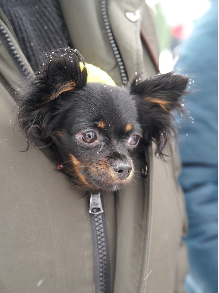 На прогулке