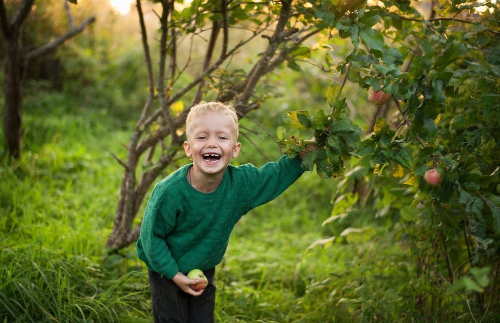 У бабушки в яблоневом саду