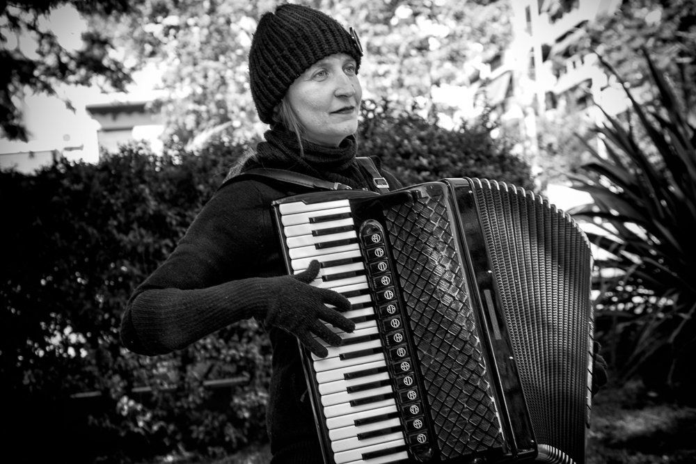 The accordionist