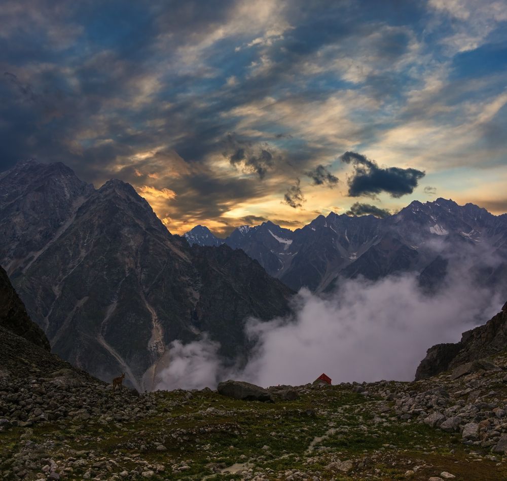 туман холодный по ущелью проплывает...