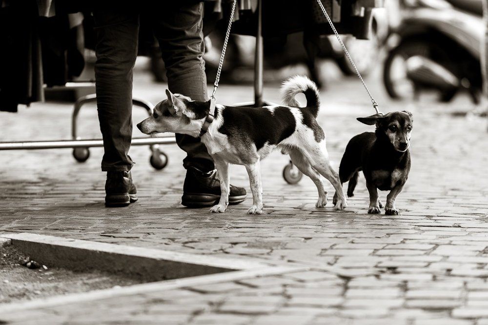 Подражение