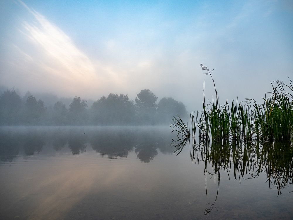 осенний расвет