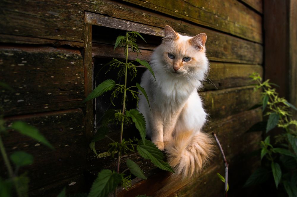 Photograph by Болотов Сергей